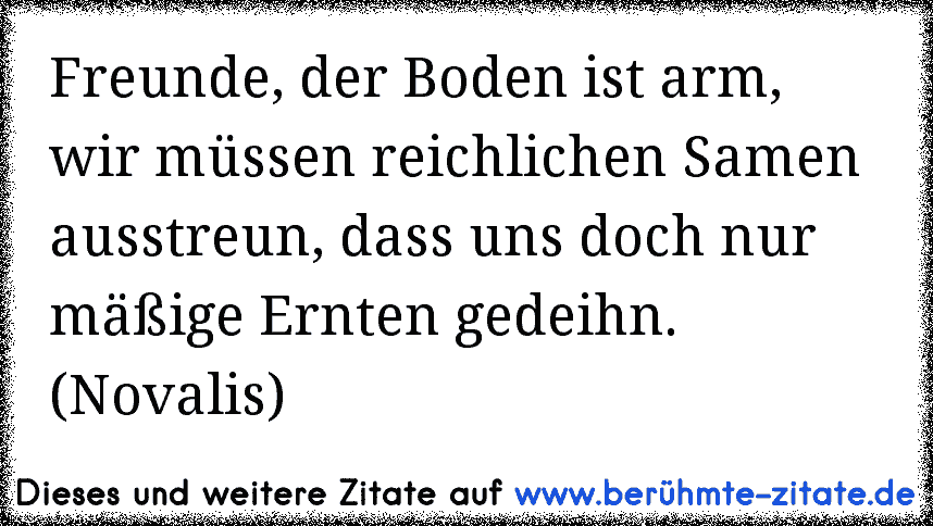 Freunde, der Boden ist arm, wir müssen reichlichen Samen ausstreun, dass uns doch nur mäßige Ernten gedeihn. (Novalis)